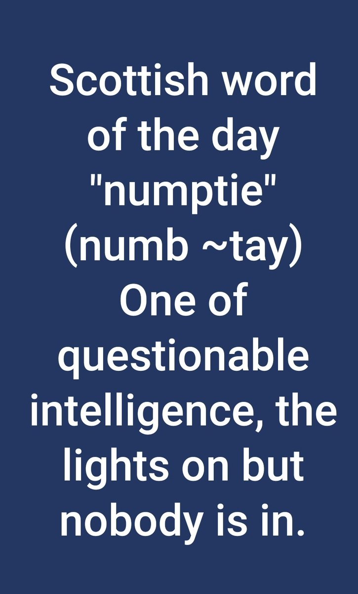 Sheugs's tweet photo. Numpty
I never hear the word without thinking of #BatSam
King of Snark &amp; #KindredSpirit!
Miss you @SamsSecretAlias
🥰🤗🥃
We'll assume that 🏴󠁧󠁢󠁳󠁣󠁴󠁿
Is still as plagued by Numpties as 🇺🇲 is!
😝
#HoHoHo
@barbaramills1 @sarahjaswim @LaurelSchuett @pjl24 @GHJNancy @OutlandishLove https://t.co/rHf2nDCIqs