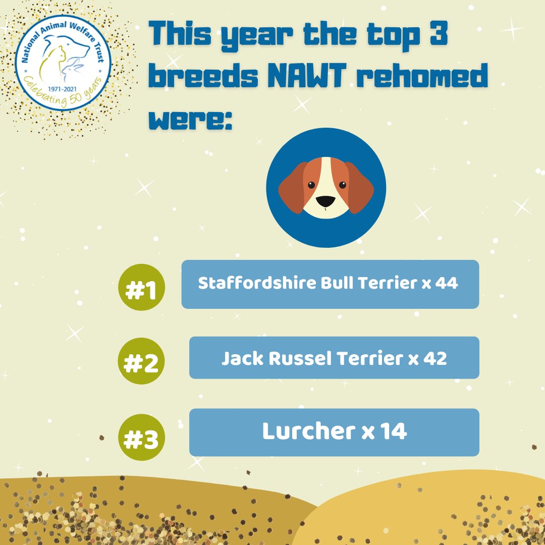 NAWT_updates's tweet photo. The most popular dog bread this year🐶💙

We took a deep dive into the stats for 2021 and this is what we found out.

Comment below if you rehomed one of these dog breads this year🥰

#dogbread #dog #breed #rehomedog #adoption #animals #animalcharity #foreverhome https://t.co/jRTUBLcaUv