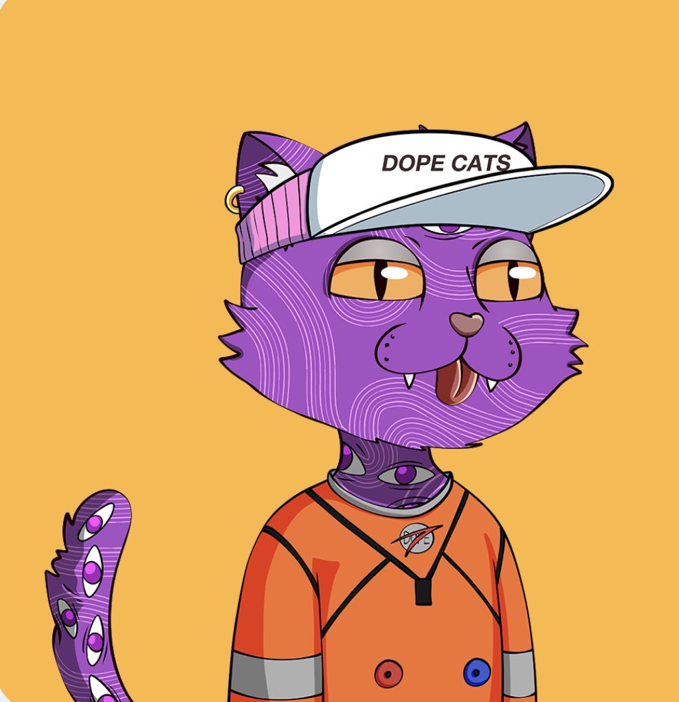 MajickPanda's tweet photo. Have to shout out @WickedBoneClub bc of them I bought my fist #Solana NFT #WickedPens which lead to other little rabbit holes and finally to @Dope_Cats which is an amazing project. But @WickedBoneClub still top 3 for me. https://t.co/J6hLzEcrhz
