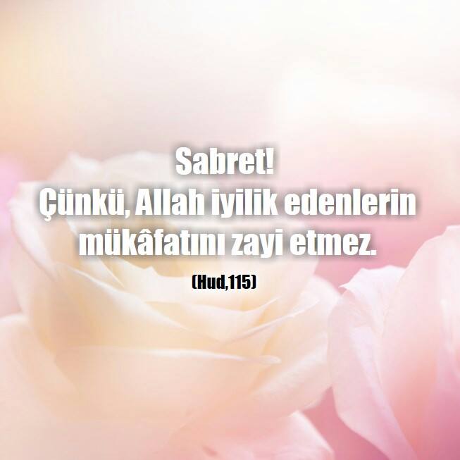 tekayet tweet picture