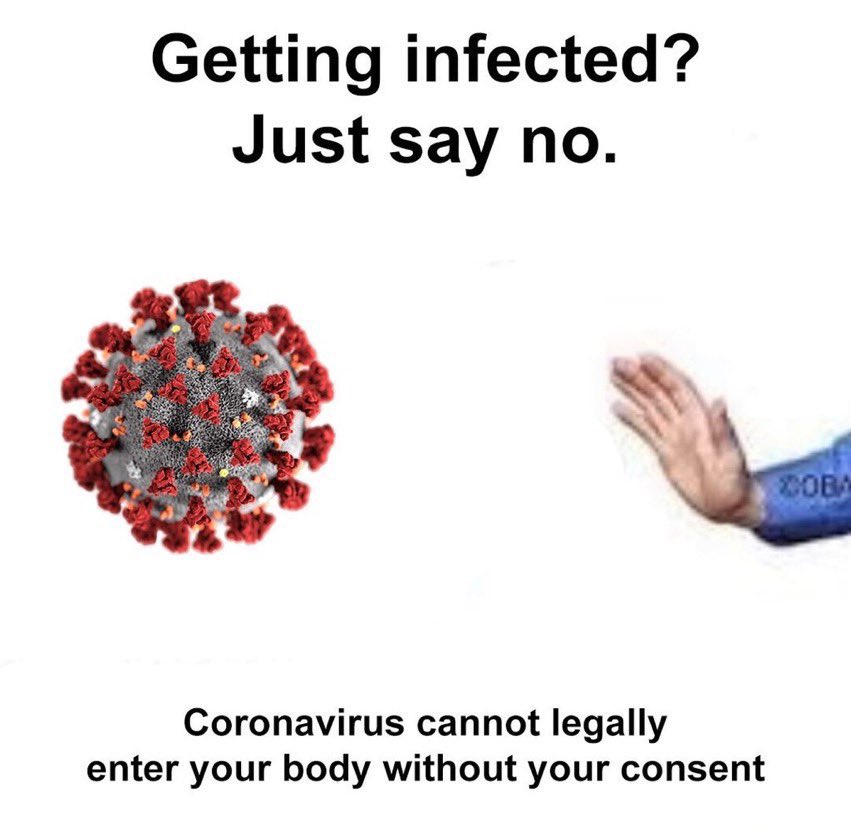 Know your rights x