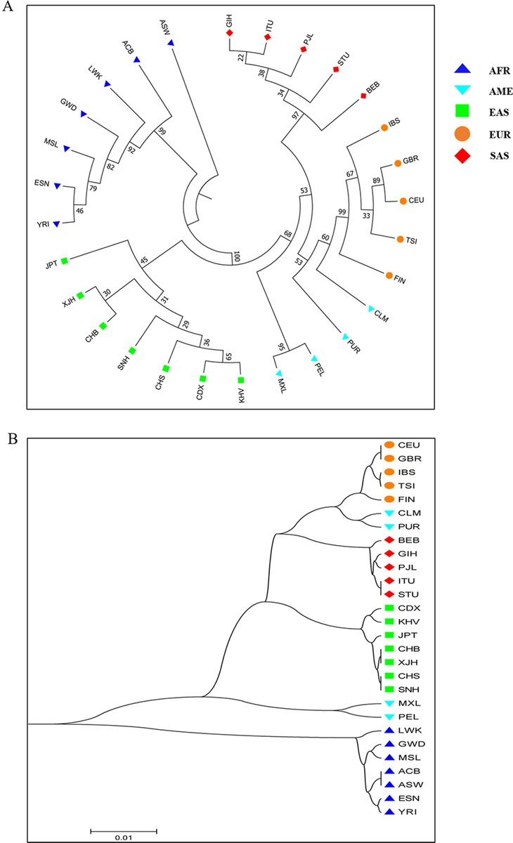 ForSciRes's tweet photo. An interpretation of the genetic polymorphism and population genetic background of Ankang Han population via a novel InDel panel
by Bofeng Zhu and his colleagues 
https://t.co/kyhsrFE4lL
#FSR #forensic  #forensicsciences #forensicgenetics #InDel #populationgenetics https://t.co/MFIIpCczZq