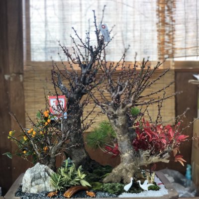 HT09498598's tweet photo. #新しいプロフィール画像 https://t.co/lJQb2tUCFb
