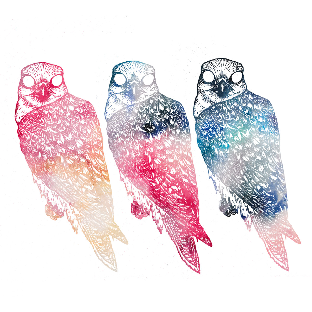 Djmaclure's tweet photo. Starting off my morning with Flyying Colours and their 2016 Mindfullness. The song "Long Holiday" has been in my head for the past day. So with the album playing as I drink my coffee, I am hoping this is going to be a good start, for a long day. #FlyyingColours #shoegaze https://t.co/SF6EE8EhFd