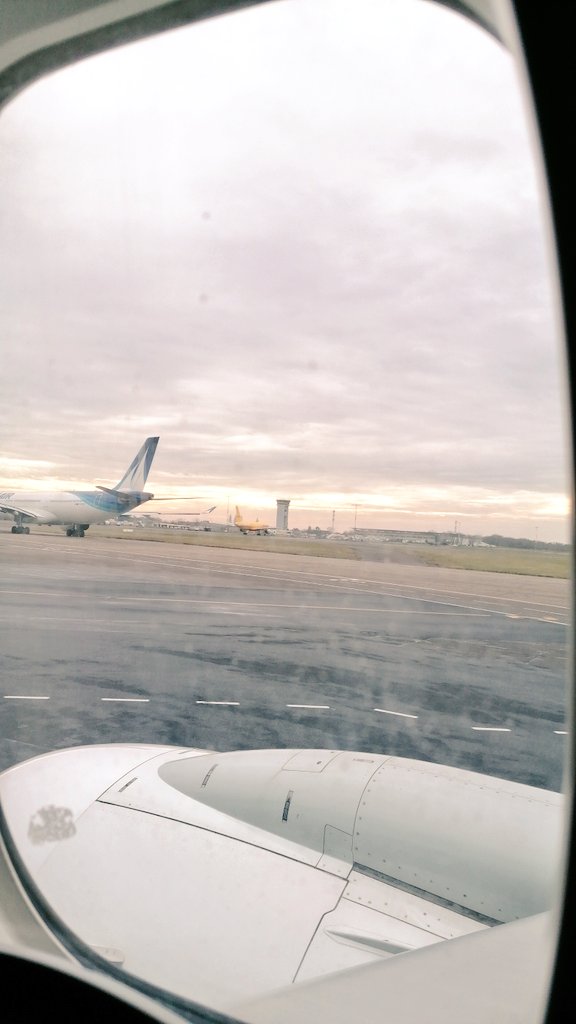 MissAccro tweet media