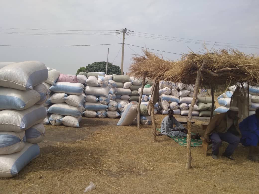 Gambia Groundnut Corporation tweet media