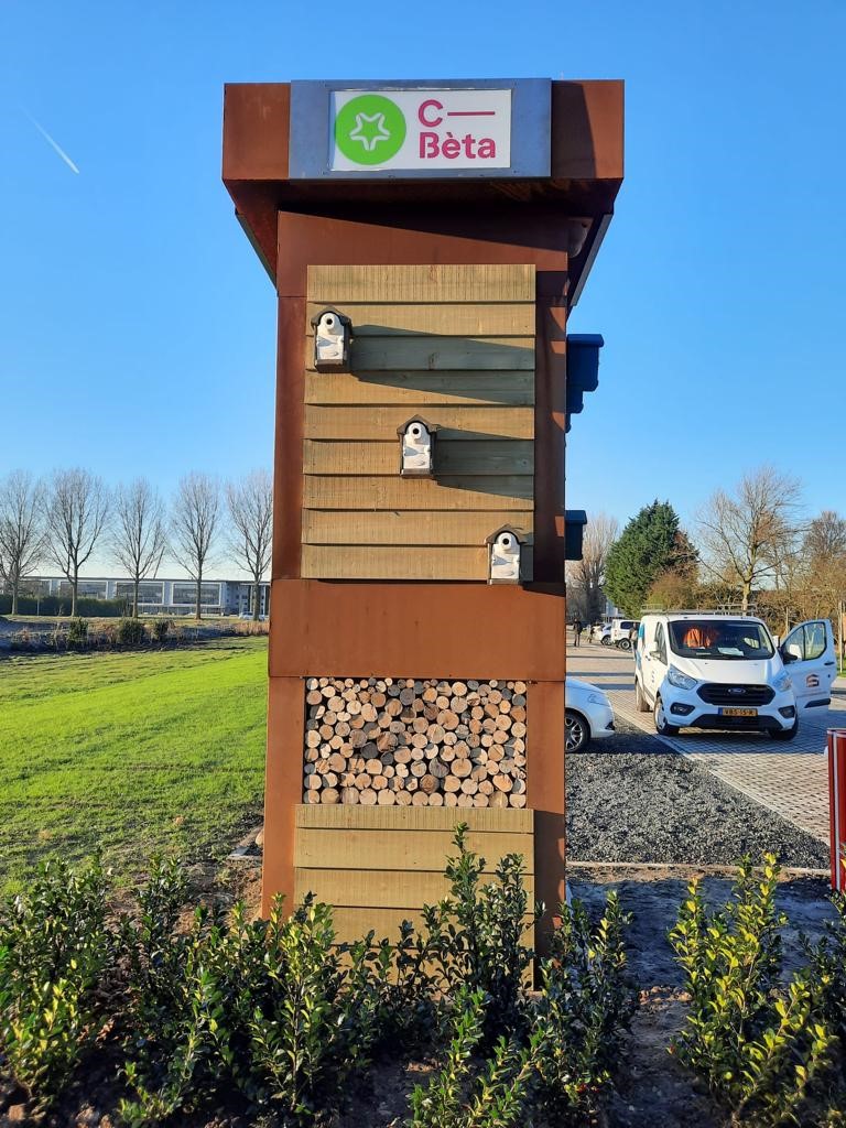 CBetaHoofddorp's tweet photo. Een boom onder de kerstboom - https://t.co/y79GPf6JHq https://t.co/CBHy8HMnGx