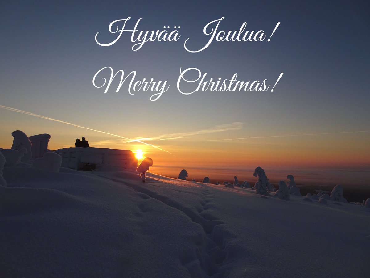 Wild Taiga Finland, Kuhmo-Suomussalmi (@visitwildtaiga) on Twitter photo 