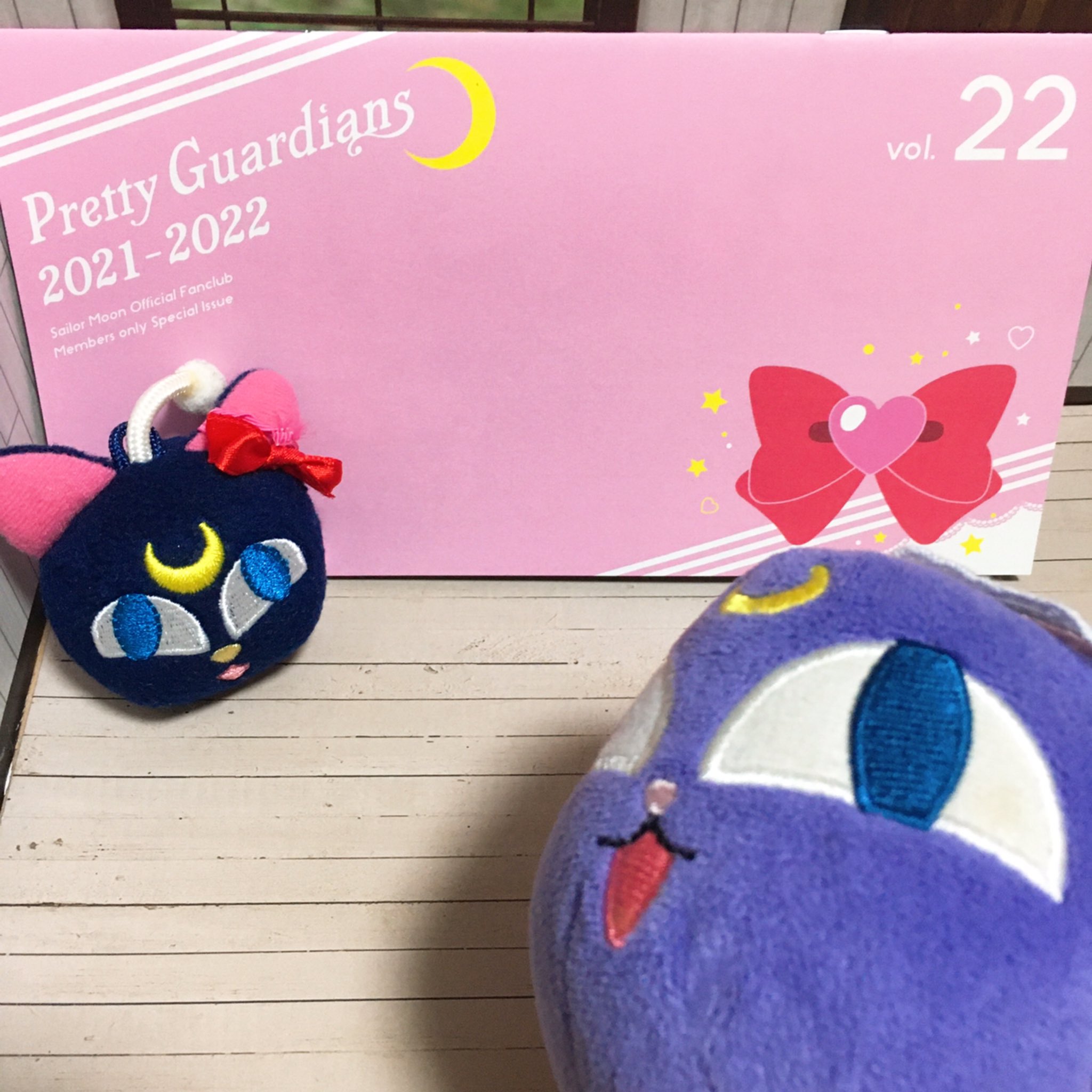 こあ 中ルナp ぎゃー 笑 うちの小ルナpが セーラームーンファンクラブの会報に載ってる 笑 小ルナp 探してみてね 笑 T Co Urcfrpejo3 Twitter