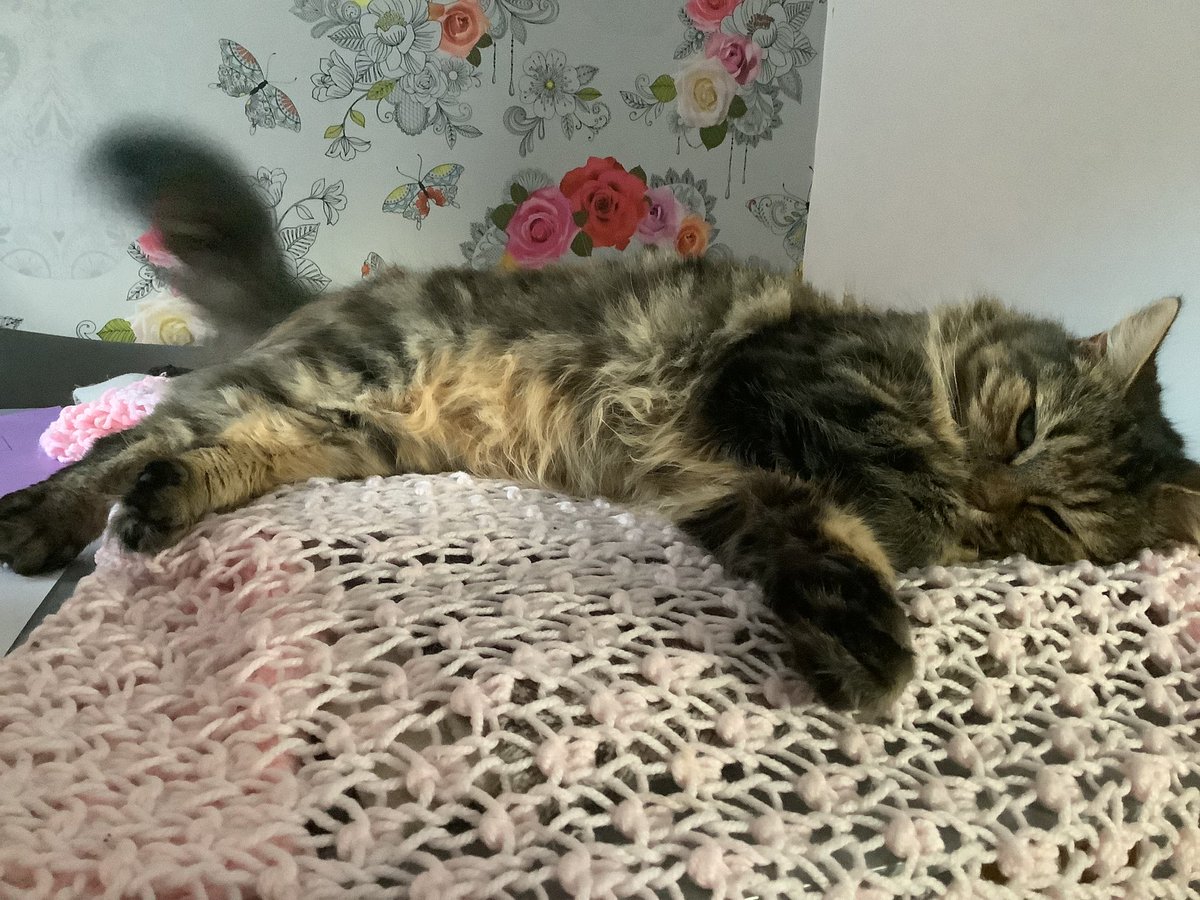 minnieupdate's tweet photo. NEARLY CHRISTMAS!!!!! 2 more sleeps 💗 https://t.co/YYgrhXqqDE
