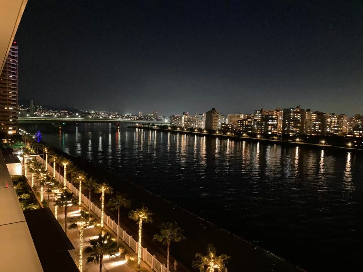 Yuki71798788's tweet photo. 新しくできた芦屋ベイコート倶楽部ホテル先月行ってきました🏨
とても綺麗で夜景も美しかったです
クリスマスイブ前にベイコートホテルで撮ったツリーをツイートします
(*ฅ́˘ฅ̀*)♡
皆様良いクリスマスイヴを迎えて下さいね❄☃🎅🎁💕🎄🎂✨
✨🎅MERRY CHRISTMAS🌲✨ https://t.co/sLxPvsLVFA