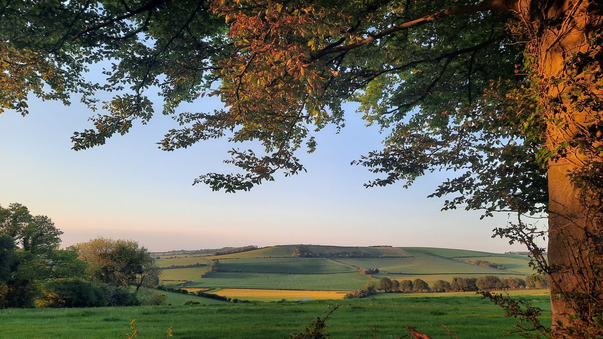 Wallops_Wood's tweet photo. ✅ Spectacular views
✅ Gorgeous countryside
✅ Beautiful walks
✅ Amazing sunsets 

We've got it covered at Wallops Wood Cottages 😍

#HolidayCottageWithPool #holidaylodgehampshire #selfcateringcottages #countrysidelife #accessibleaccommodation https://t.co/tPysM6MkeW