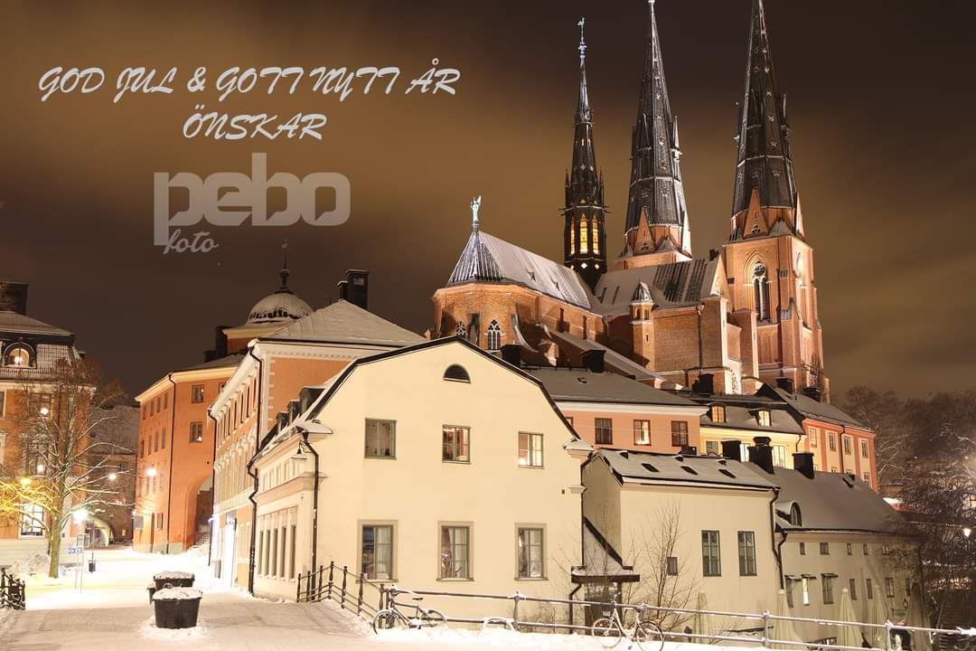 PEBO-Foto tweet media