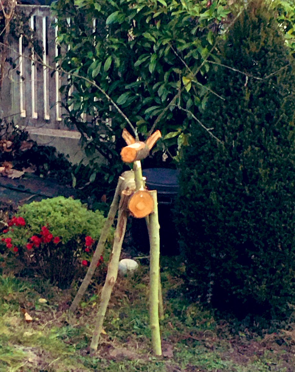 #AdventCalendar D23: this one will not be difficult to feed ! @B_Rouille_Idele <a href="/Casoph/">Sophie</a> <a href="/eaap/">EAAP</a> <a href="/INRAE_DPT_PHASE/">INRAE PHASE</a> <a href="/Cirad/">Cirad</a> <a href="/ILRI/">ILRI.org</a> <a href="/ICRAF/">World Agroforestry</a>