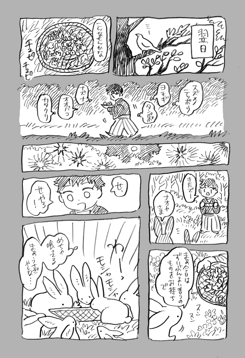 ナオヤとウサギの森(8/8) 