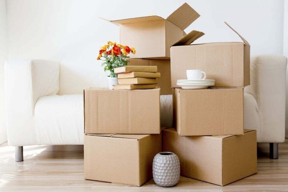 EricksonJerry3's tweet photo. Pump Up Your Sales With These Remarkable Cardboard Boxes Tactics

https://t.co/t4uMJi8lnR

#cardboardboxes #cardboard https://t.co/WT3pzh0NNU