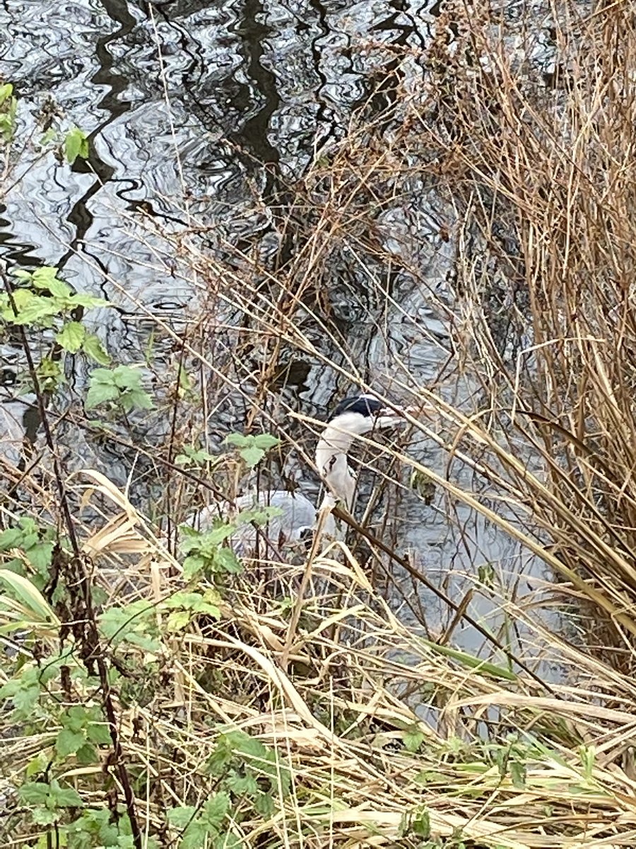 Als je honger hebt moet je soms natte voeten maken