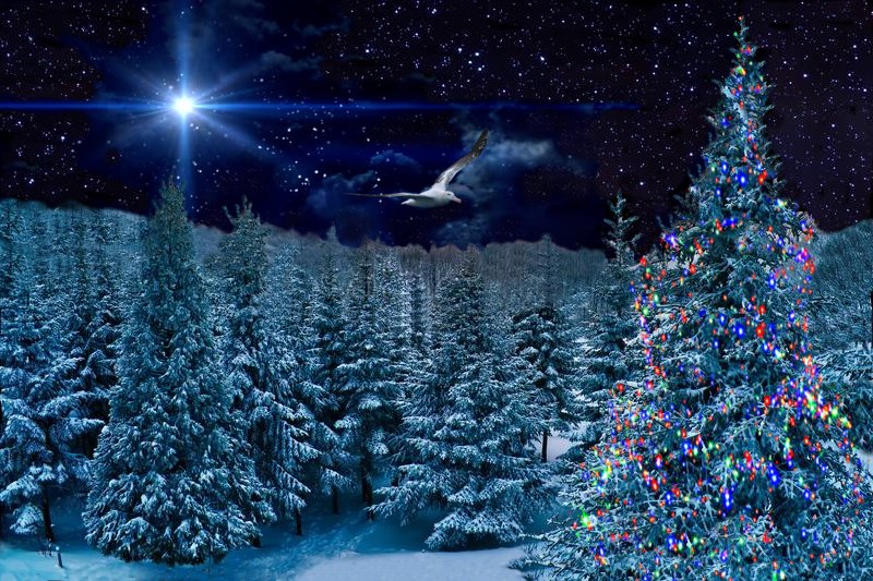 GalacticAlbatrX's tweet photo. #Star of #Bethlehem?
#Humans follow many signs; the strangest must be the star depicting their #Saviour's birth 2000 years ago. It was, in fact, a supernova in #Andromeda which would inevitably have wiped out all life across many nearby star systems - says the #WanderingAlbatross https://t.co/Lw4VJxh7Jh