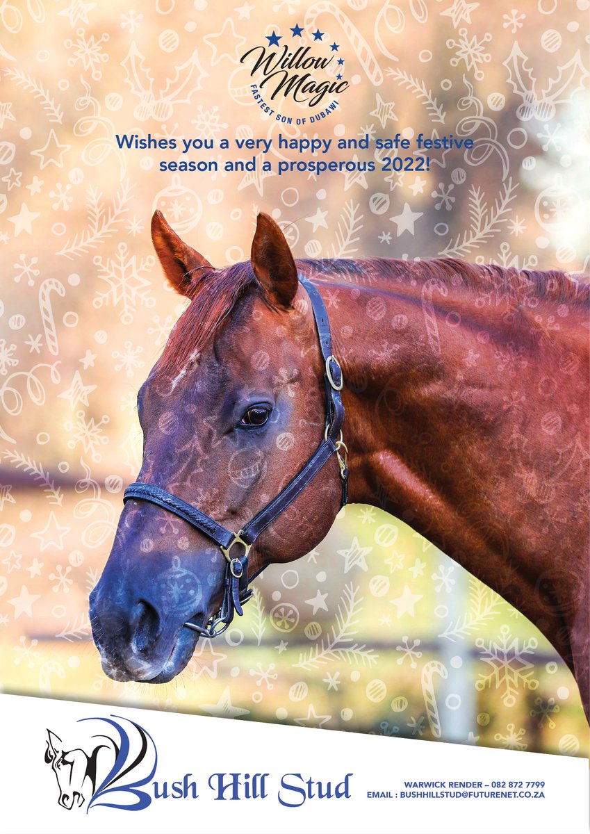 WillowMagic1's tweet photo. Merry Christmas and Happy New Year! #willowmagic
@BushHillStud https://t.co/oixYG5soXt