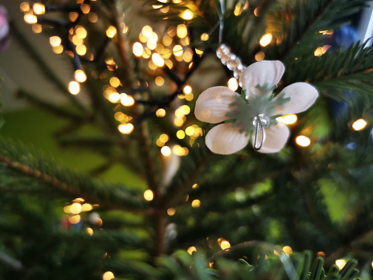 unischuleTUD's tweet photo. Die Unischulgemeinschaft wünscht eine schöne Weihnachtszeit und einen guten Rutsch ins neue Jahr! 2021 endet leider ohne Lichterfest, aber mit Talertausch-Aktion! 😊🎄🍪 #Talertausch? 🤔👉https://t.co/2UWS0mRstA 😉 #FVUS #GutesTun #UnischulAdvent #SchuleDerZukunft #TUDresden https://t.co/gHxgbfbw3o