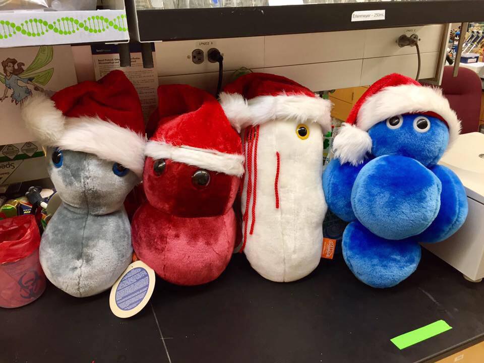 markowenmartin's tweet photo. The festive season of #MicroMas is almost here! https://t.co/K6XbzNNQxr