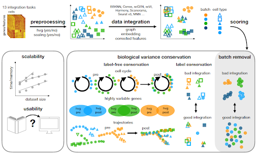 naturemethods's tweet photo. A new benchmarking study compares 16 methods for integrating complex single-cell RNA and ATAC datasets and provides a guide to method choice. @MDLuecken @fabian_theis @colomemaria_epi @ICBMunich @HelmholtzMunich
https://t.co/AC2ydb1gL5 https://t.co/wUhJZFCyO0