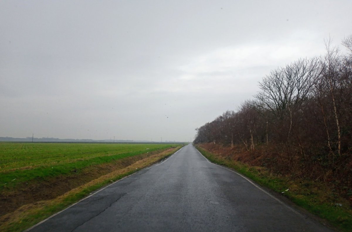 zevonesque's tweet photo. #DailyDeliveryPhoto https://t.co/WaIlaYd0WI