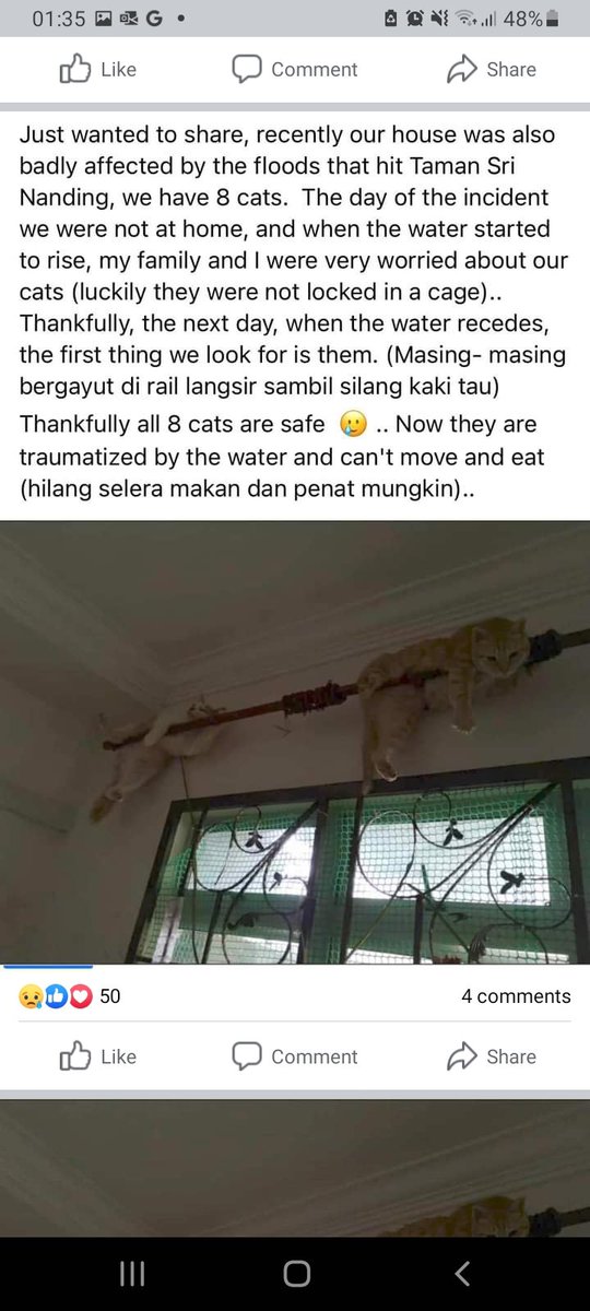 fatindisini's tweet photo. Nasib la pndai selamatkn diri dari banjir bru2 ni.. #tamansrinanding #hululangat Mohd Rieza 

credit Kucing Sepahkan Apa Hari ini 😭 https://t.co/h5DsD6Q09s