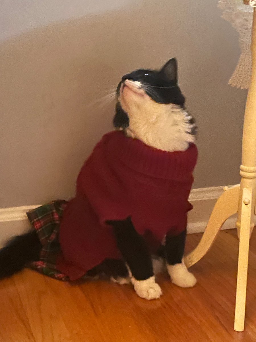 CaitPowersPage's tweet photo. On a happier note, here’s Moira Rose in a festive sweater #MerryChristmas https://t.co/G6vBynFfgy