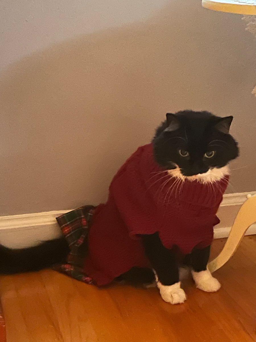 CaitPowersPage's tweet photo. On a happier note, here’s Moira Rose in a festive sweater #MerryChristmas https://t.co/G6vBynFfgy