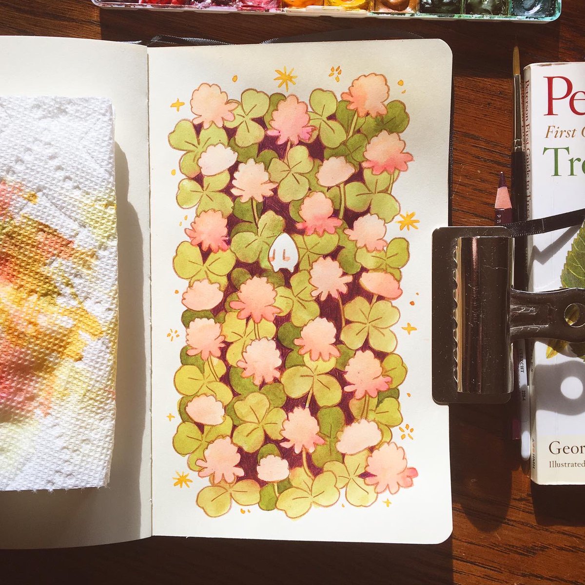 loonpflug's tweet photo. 24 clovers for my 24th trip around the sun 💫🪴 https://t.co/jl5GvUJP7B