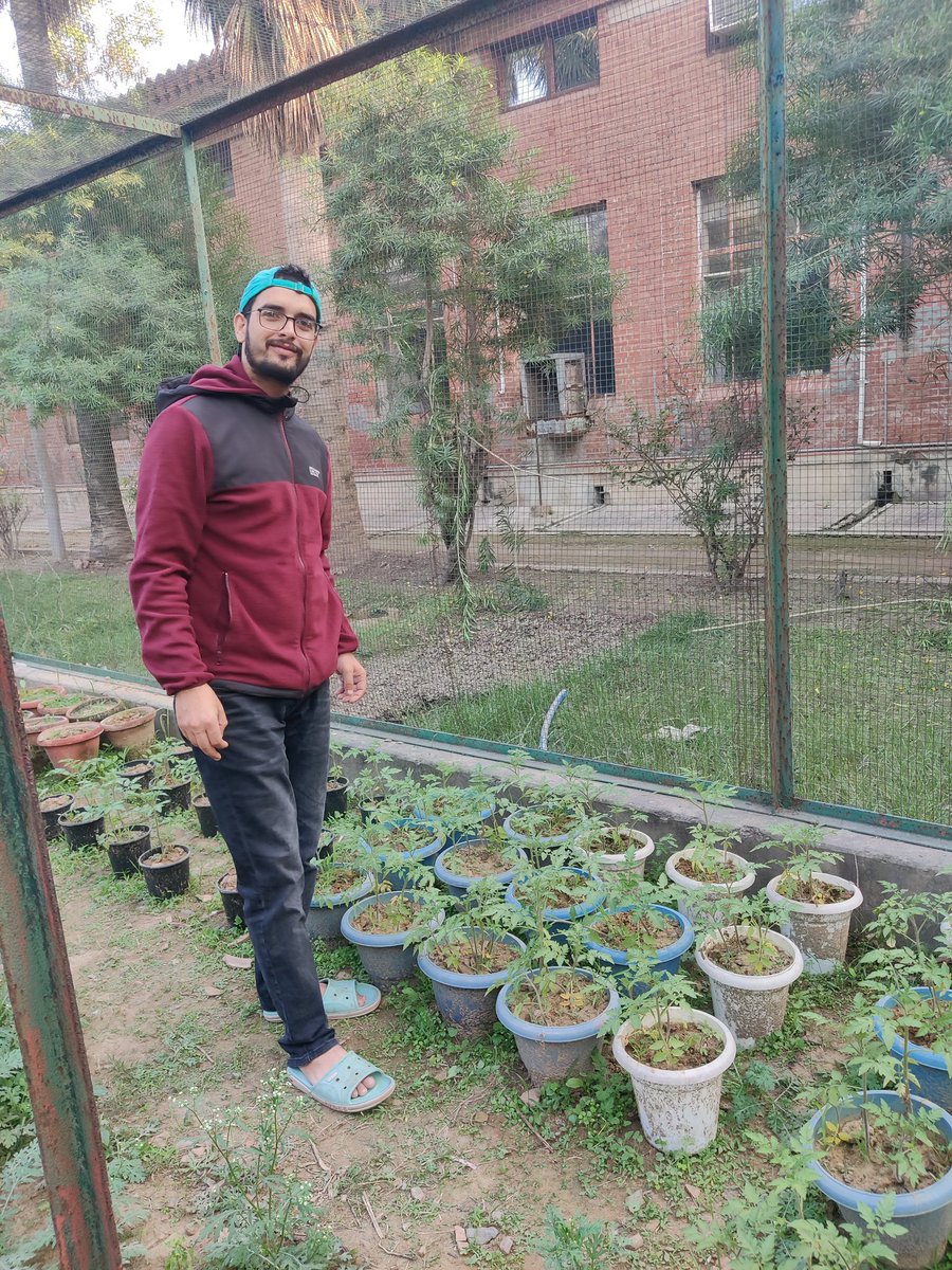 SALEEM06444600's tweet photo. Ongoing project https://t.co/lvaeyF3htn