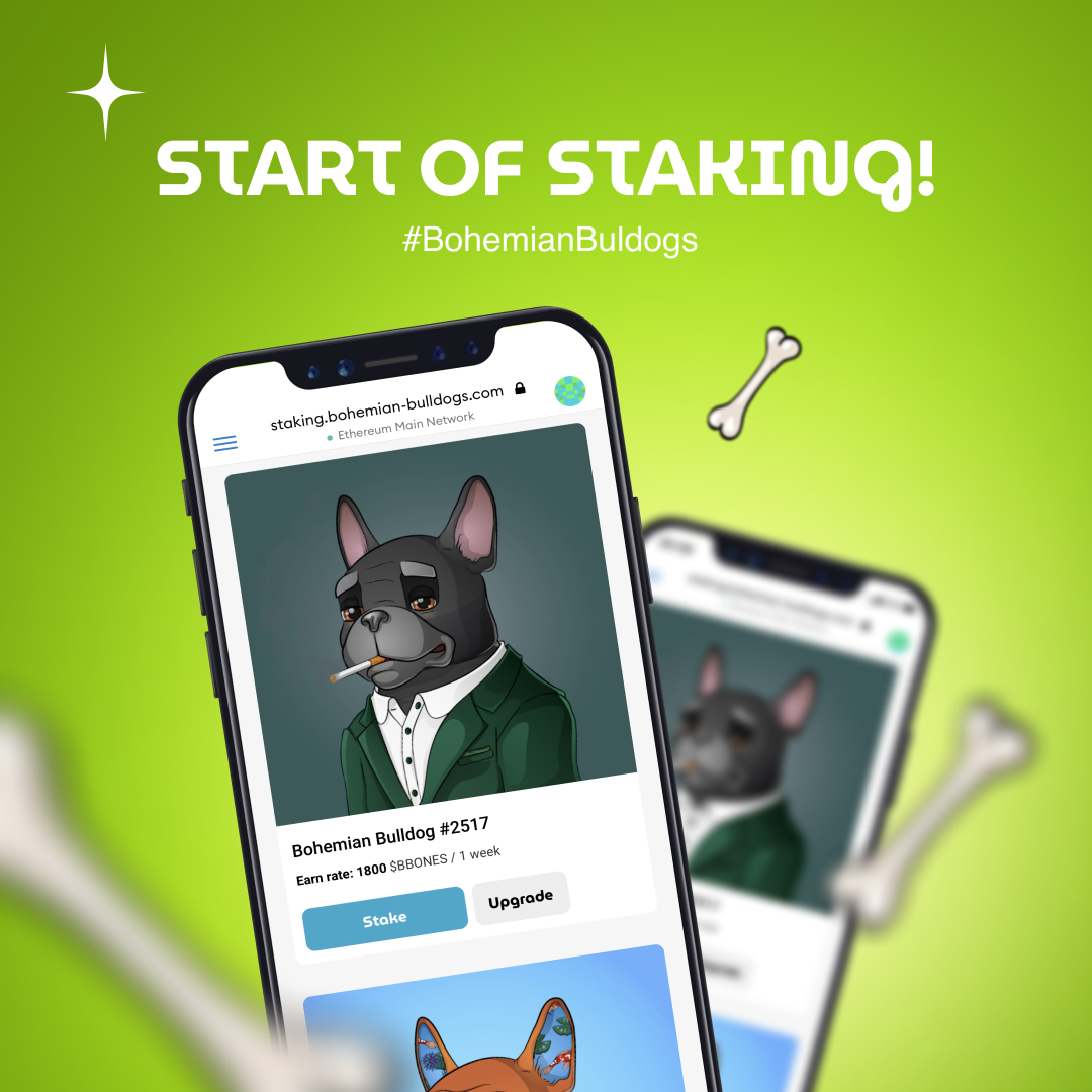 BohemianDogs's tweet photo. Hot news 🔥 Today is the start of staking 👍🏻
  
Come up with questions, and we will discuss the details today on Discord at 7 p.m. UTC! 👏
#BohemianBulldogs #NFTCommunity https://t.co/fbYYK8TyPY