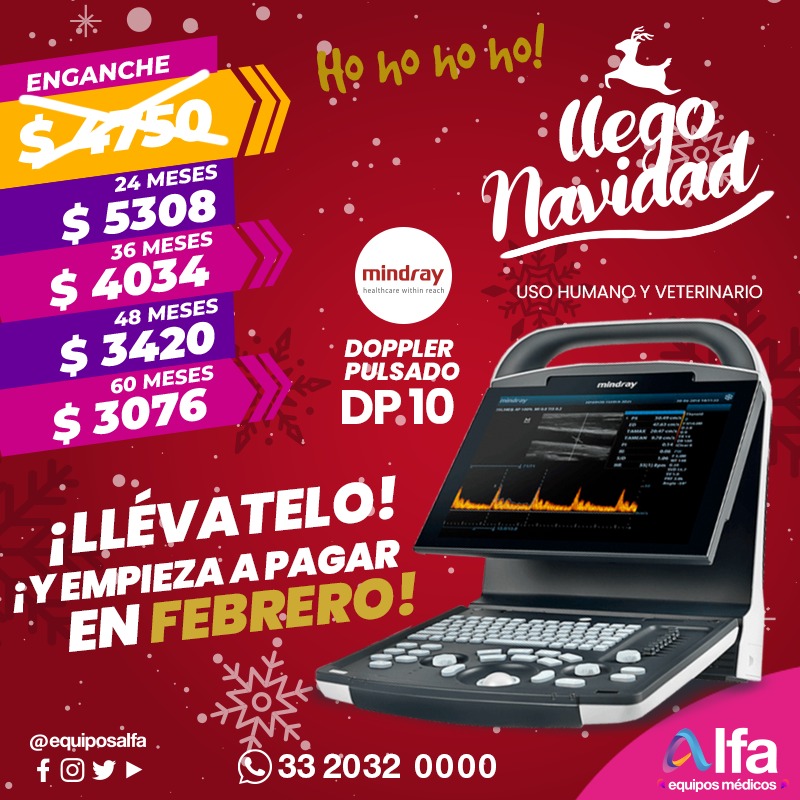 LATINZOO tweet media