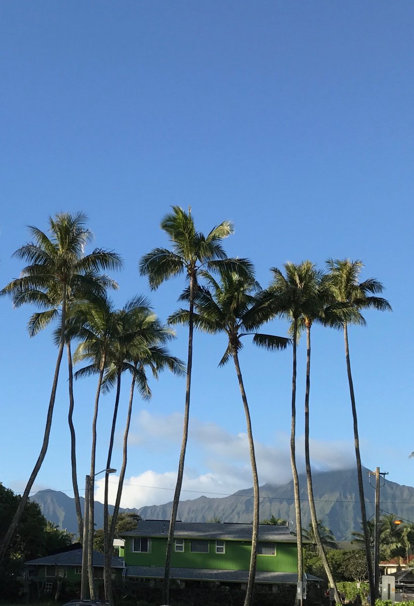 IslandFilmGroup's tweet photo. Merry Christmas &amp; Happy Holidays from our Island Film Group Ohana to yours. 🌴 https://t.co/XanfIIuEV4