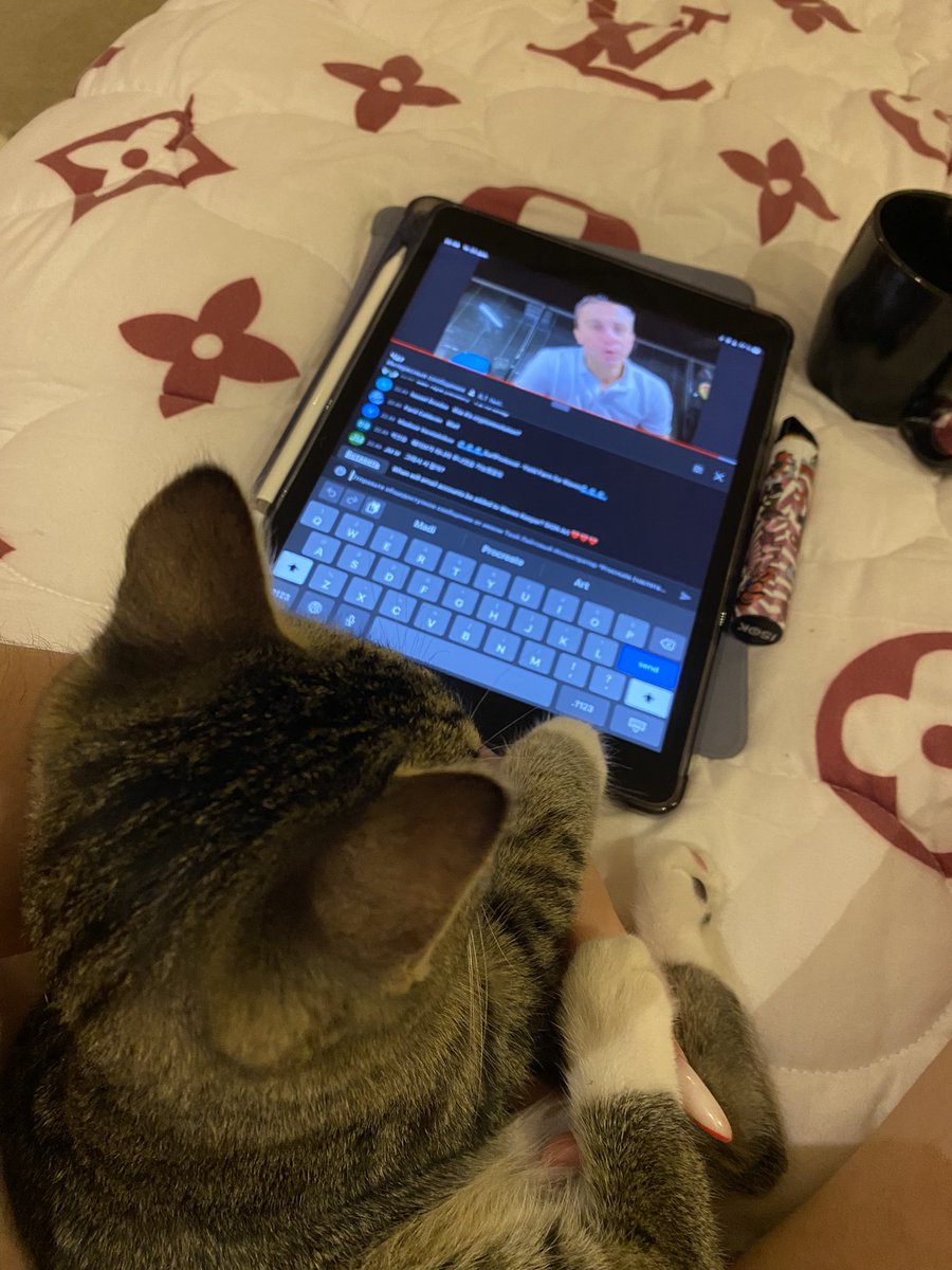 boooogdanova's tweet photo. Connecting with kitty 😍 
@wavesnft @signArtApp  

#wavesnft #wavesducks #nft https://t.co/e4eGRAYKOE