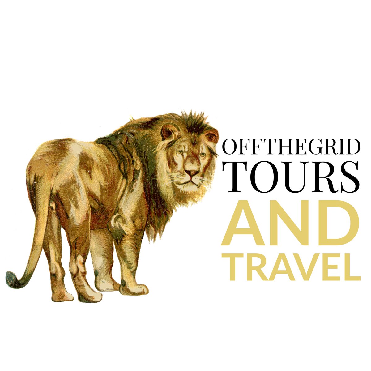 OffthegridT's tweet photo. #NewProfilePic https://t.co/J85uBx3v4O