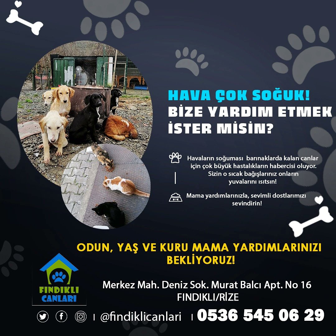 Fındıklı Canları (@findiklicanlari) on Twitter photo 