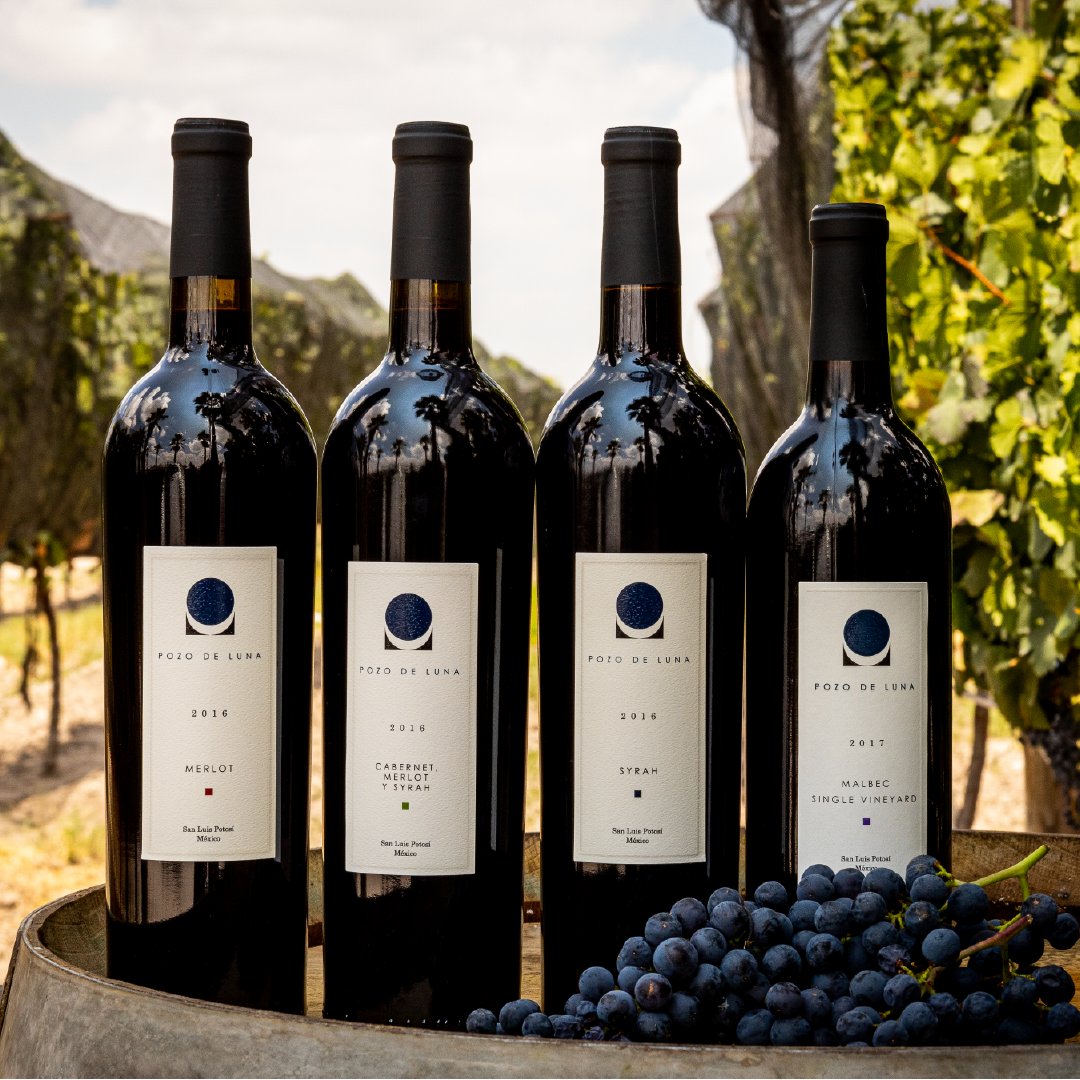 ¿Quieres conocer más acerca de nuestros vinos?
Acércate a nuestro viñedo y vive una experiencia inolvidable.
Ingresa a nuestro sitio web y agenda tu visita. Contamos con todos los protocolos de sanidad. 
my.mtr.cool/tikzwcpqbu