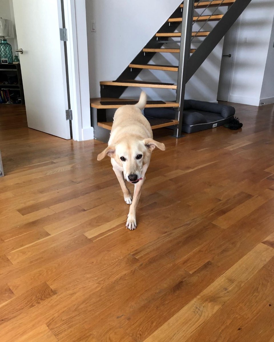 Sign up to my mailing list and get a FREE Xmas song arrangement of O Come, O Come, Emmanuel in a Bossa Nova style!!! jeffreyweeksharrison.com