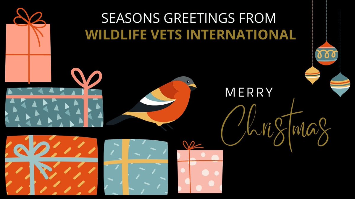 WildlifeVetsInt's tweet photo. Wishing you all a very Merry Christmas & Happy New Year.
Thank you for your amazing support throughout 2021. It really made a huge difference to us. Our office is closed until Tuesday 4th January.
#Christmas #WildlifeConservation
#TrainingVets #ControllingDisease #SavingSpecies https://t.co/71XIKpFQ8u