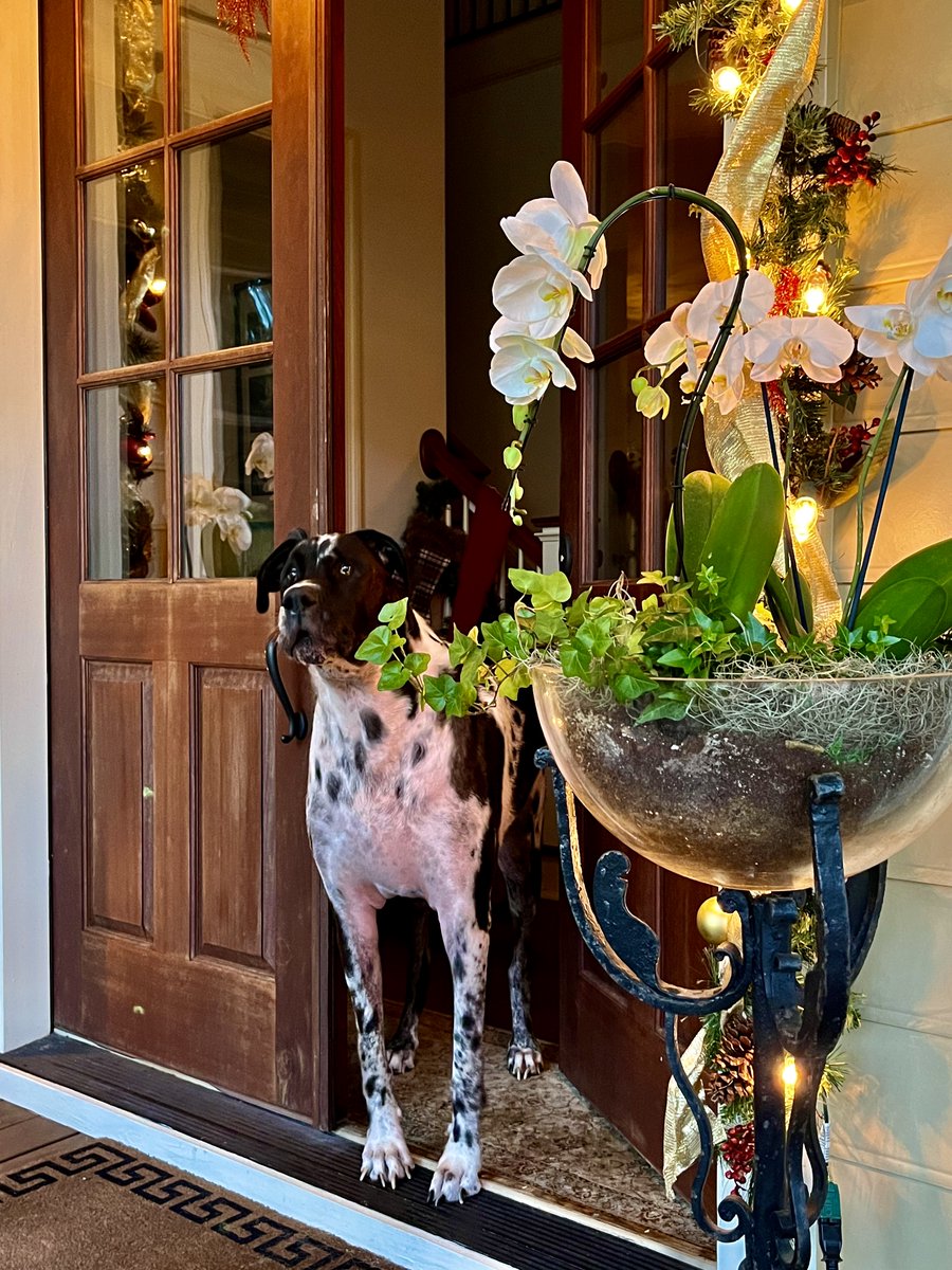 Drake Manning tweet media