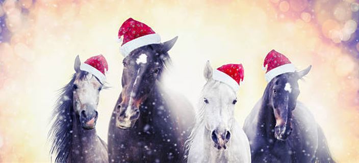 Happy Holidays on behalf of the HAC Saddle Club. Our provisional list of 2022 events are featured in our December newsletter: mailchi.mp/a824750e2107/s… So much to look forward to, next time why not consider joining us? #HACSaddleClub #Lovehorses #Horseyfriends #MerryChristmas