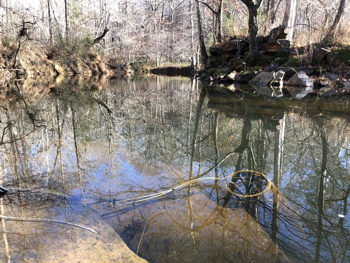 smkanderson's tweet photo. Last #fieldday of the year at #NewHopeCreek in #DukeForest and #EllerbeCreek throughout #Durham. It’s been a please to get to know you’s. Ya never know what you’ll find in #Ellerbe - today a motorcycle. Share your #CreekFinds to celebrate the close of a hectic year. https://t.co/L7005nfGhR