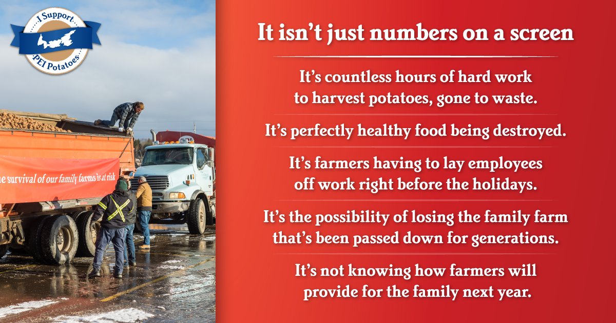PEIPotatoes's tweet photo. It’s a somber holiday season for PEI Potato farmers. To date, we would have shipped over 33 MILLION lbs of potatoes to the US had this ban not been placed. That’s over $10 MILLION in fresh PEI Potato market sales. https://t.co/T18R11AyR3