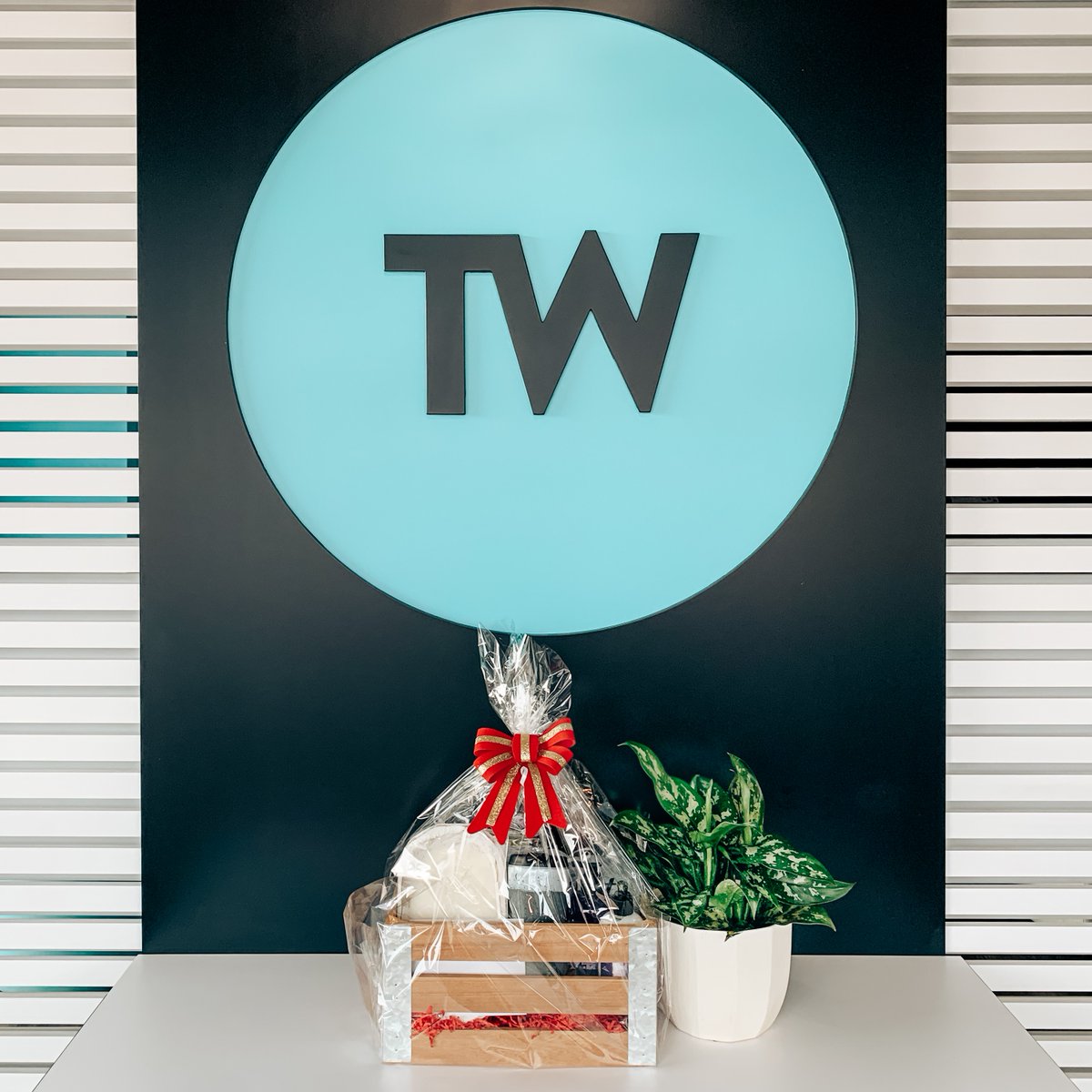 trilliumwest's tweet photo. For the 11th day of our #12DaysOfTW, we're hosting a GIVEAWAY as a thank you for all of your support this year. Want to participate? Head on over to our Instagram to enter 👇
https://t.co/y1Us0tSISv https://t.co/ZhXbJ4i8j0