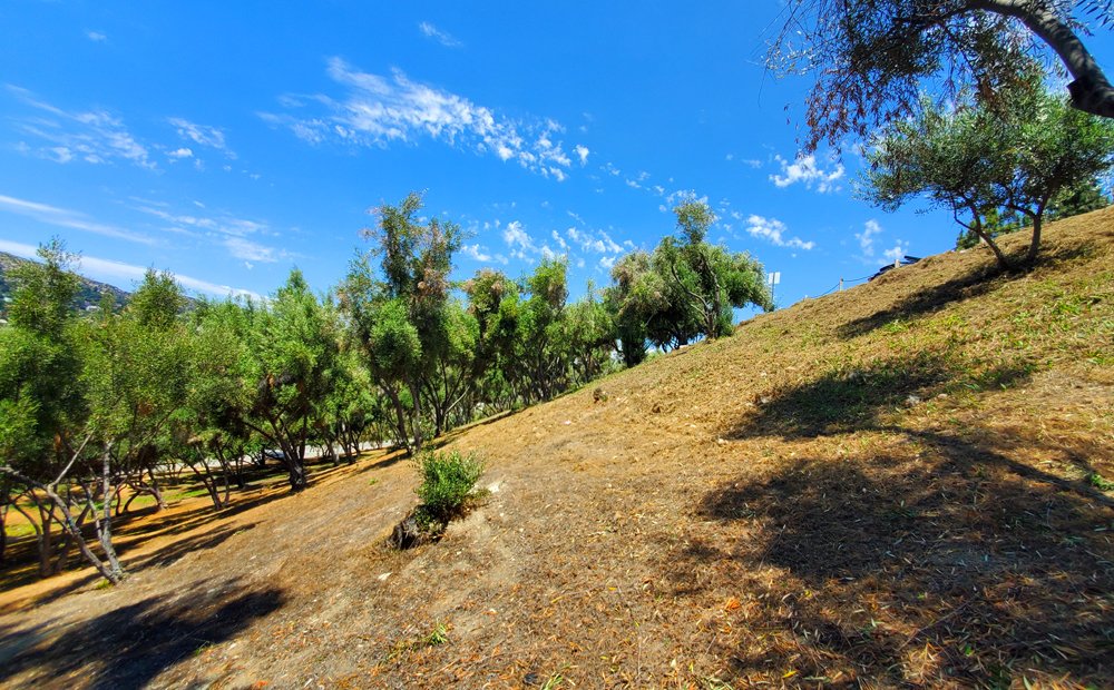 Barnsdall Art Park Foundation (@barnsdallfndn) on Twitter photo It's been an inspiring year for the <a href="/BarnsdallFndn/">Barnsdall Art Park Foundation</a>! We thank all of our wonderful supporters at barnsdall.org/contributors for helping us ensure that <a href="/Barnsdall/">Barnsdall Art Park</a> Park remains a vibrant, inclusive space for creativity, cultural expression, civic conversation, and social empowerment. It's been an inspiring year for the <a href="/BarnsdallFndn/">Barnsdall Art Park Foundation</a>! We thank all of our wonderful supporters at barnsdall.org/contributors for helping us ensure that <a href="/Barnsdall/">Barnsdall Art Park</a> Park remains a vibrant, inclusive space for creativity, cultural expression, civic conversation, and social empowerment.