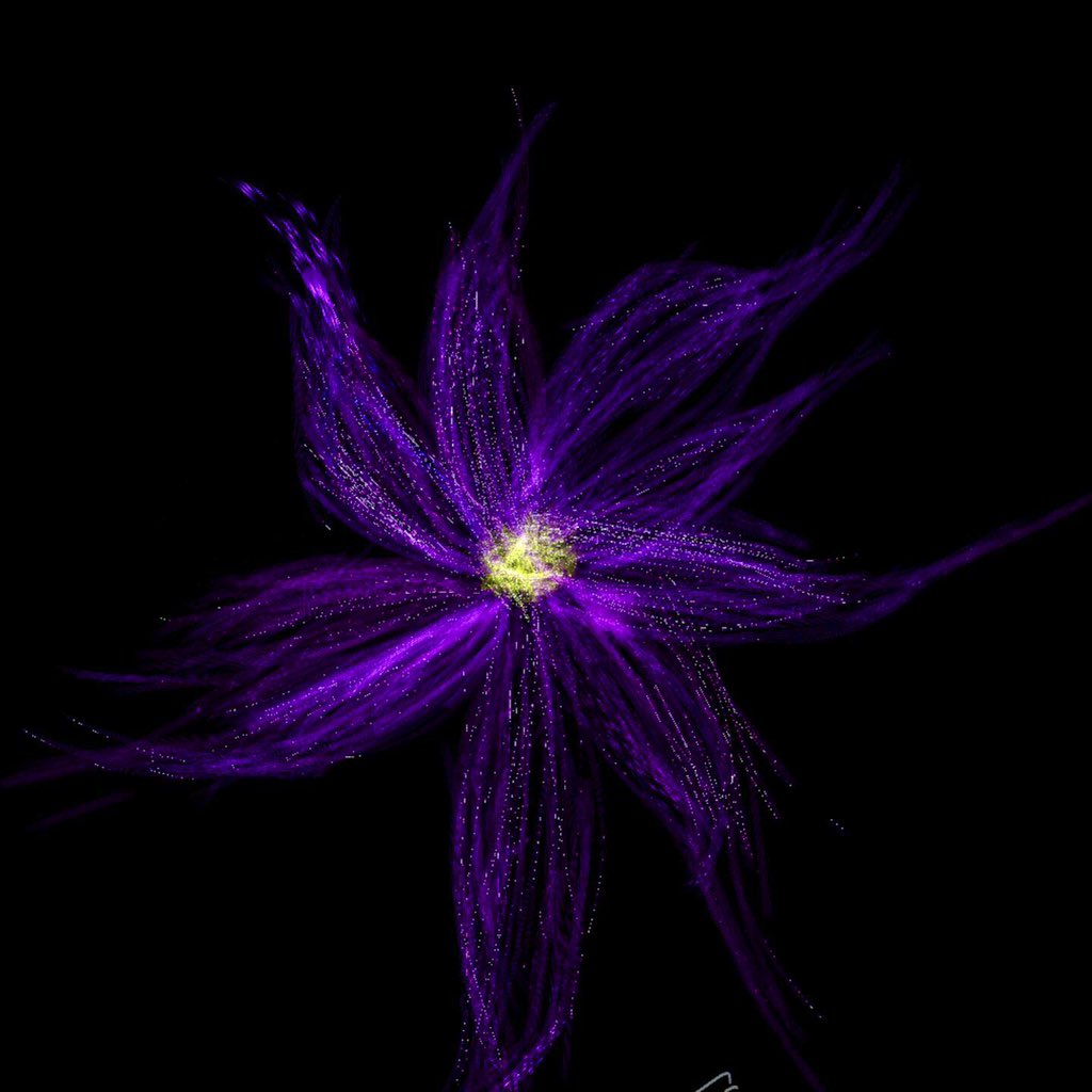 6_dcrc's tweet photo. Today, I drawed flower‼︎🌹
#day3 #VRArt #vrart #nftart #cyptart https://t.co/nzoZvy69tw