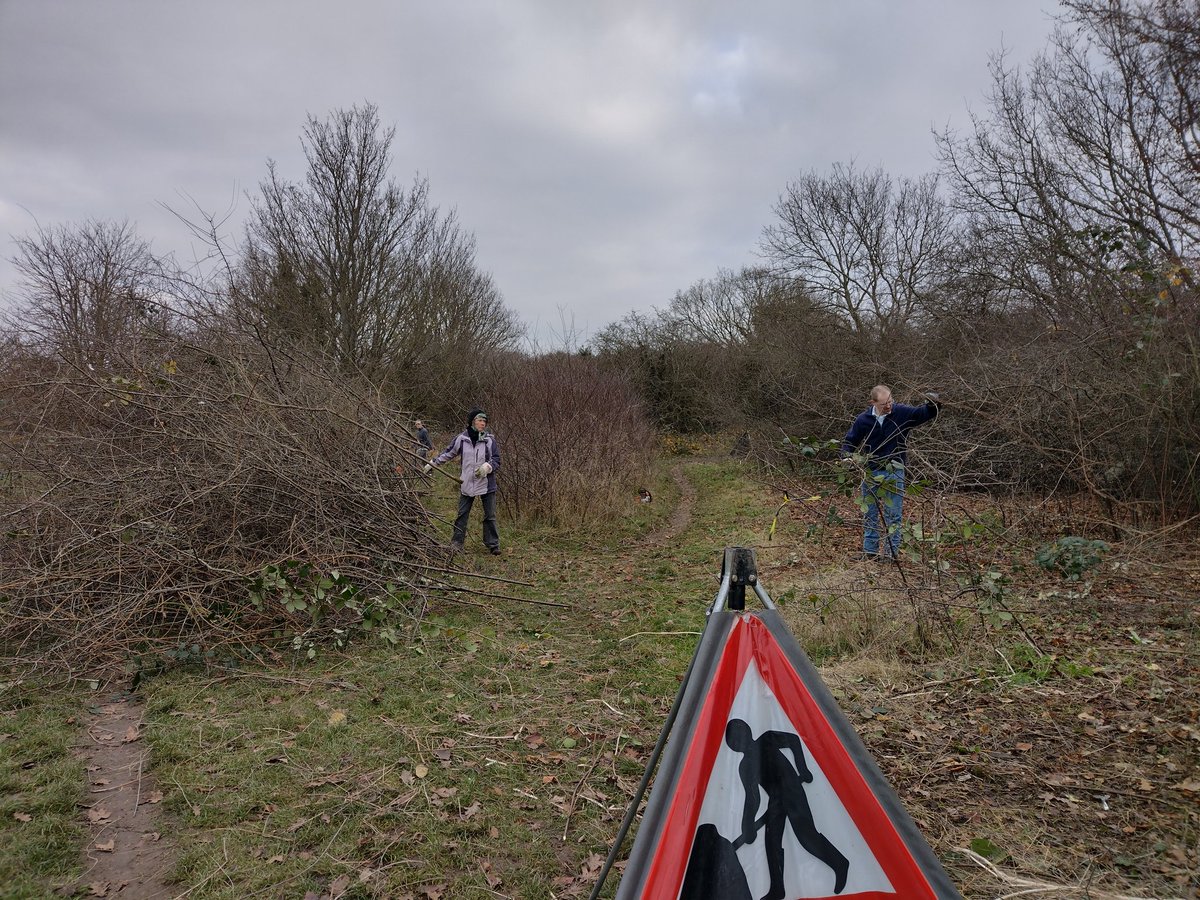 Whicheloe's tweet photo. Great to be out yesterday on #RoundShawDowns  with @SNCVvolunteers doing a bit of blackthorn clearance to improve habitat for #brownhairstreak #butterfly 💪 🌳🐮 https://t.co/aTzs1L930p