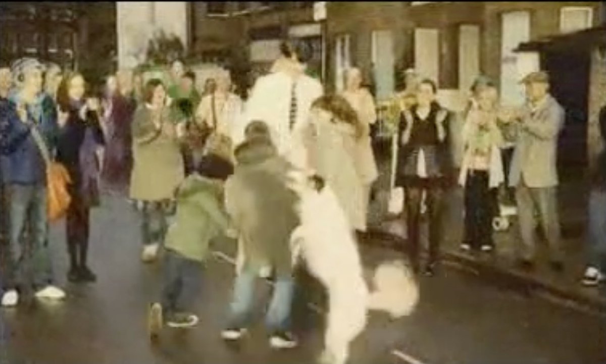 cameron prudames tweet media